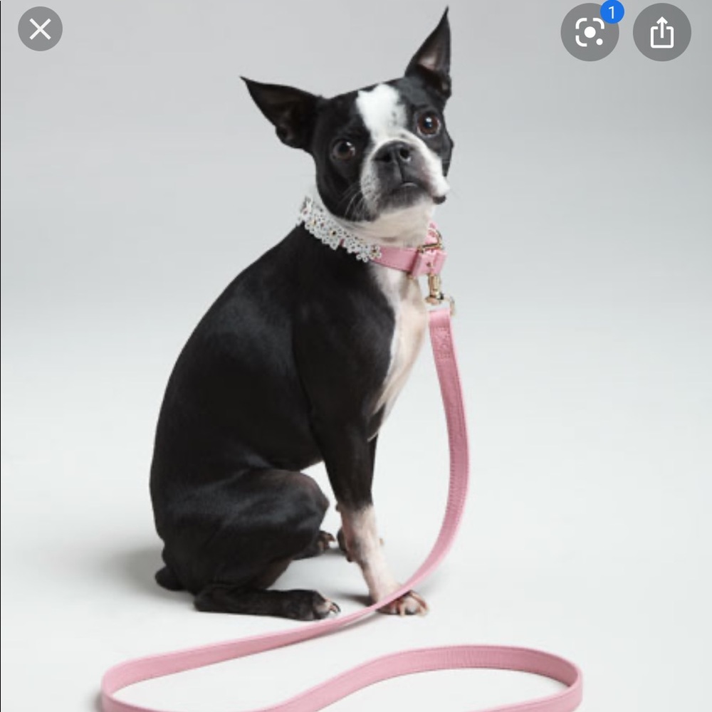 Oscar de la Renta x NM x Target Dog Collar & Leash